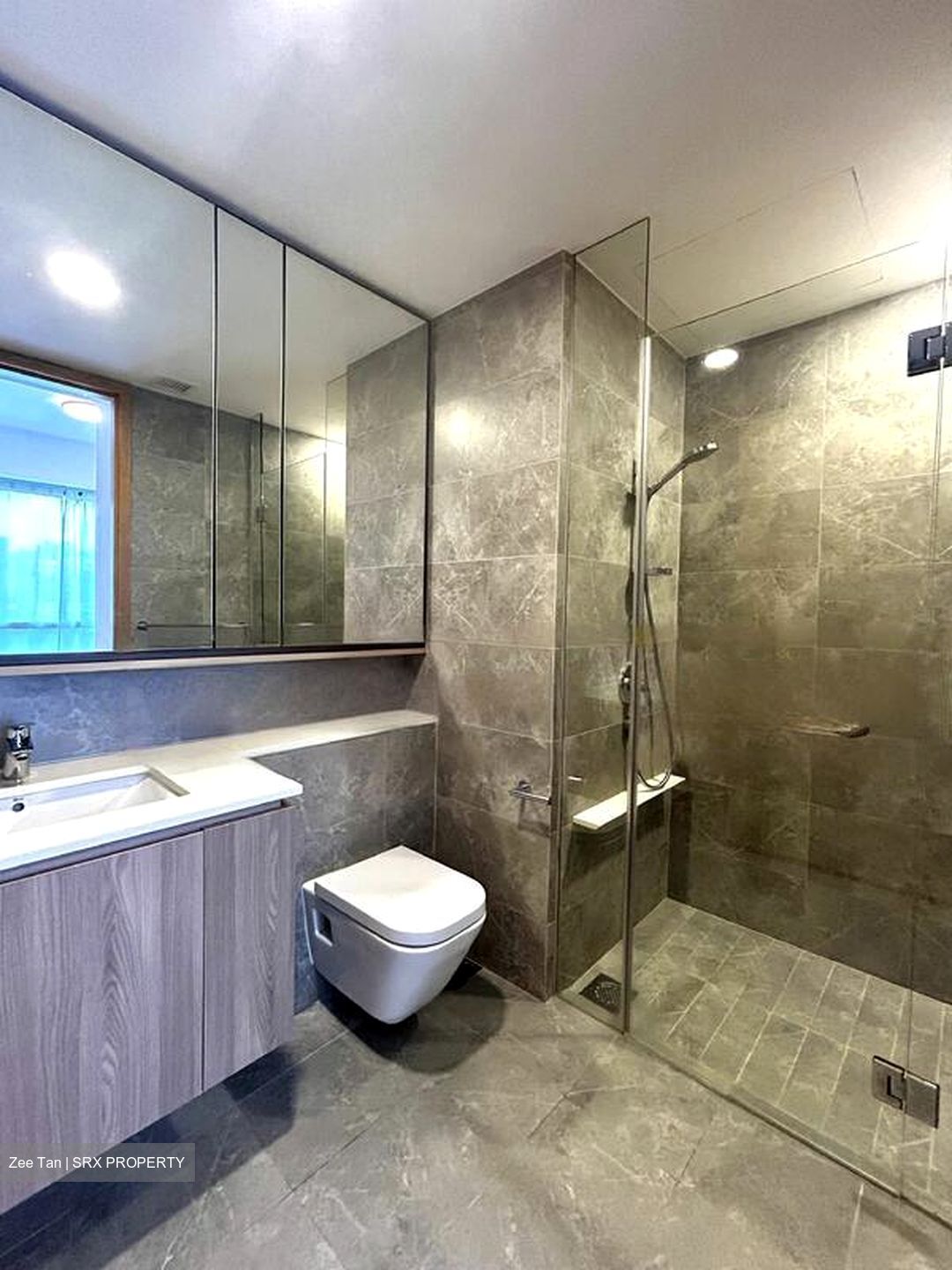 Twin Vew (D5), Apartment #442365331